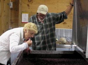 Tasting the grapes - cherries and chocolate
