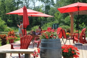 The enjoying the ambiance