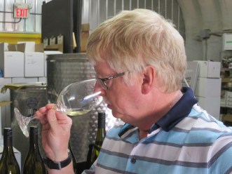 paul-sniffing-at-trail