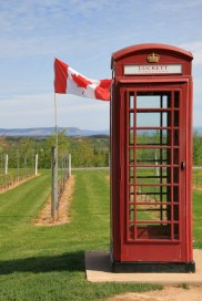 Petes phone box 2 close up
