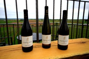 Planters Ridge wine and view2.JPG