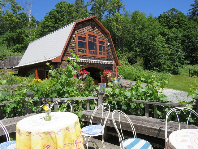 Salt spring winery.3. jpg